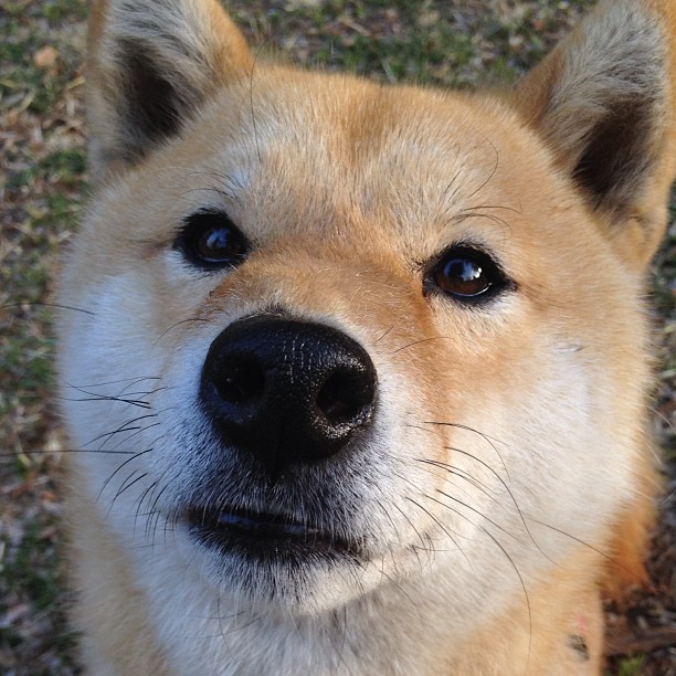 kaiyun 开云体育-QQ飞车赛车黄金赛激烈角逐，速度为王，qq飞车手游黄金段位有几个小段