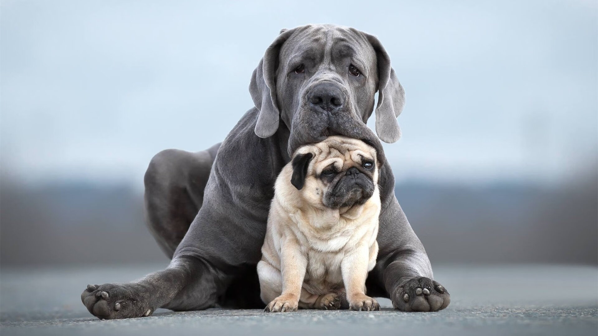 开云官网在线-MVP评选：王强凭借关键三分荣获最佳球员！，cba王强