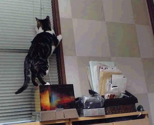 开云·体育官网APP下载-_体育+文创：打造运动文化新形象_，运动文化建设