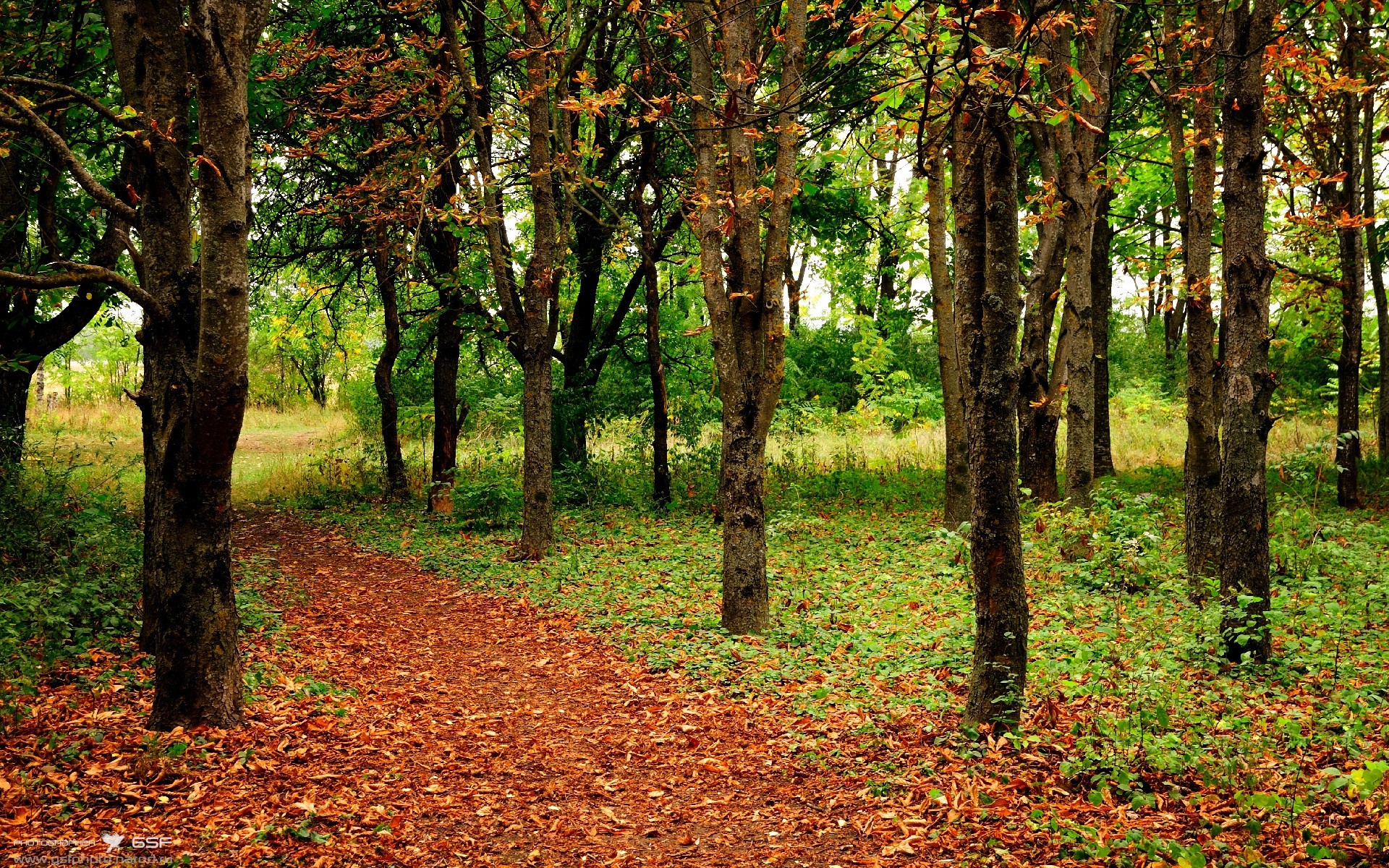 开云官方网站-_爵士稳定发力，排名持续领先_，爵士榜单