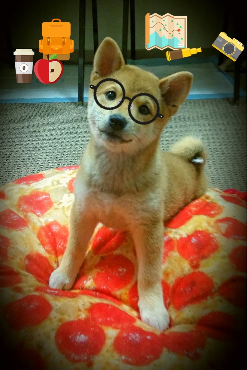 开云APP-_骑士队迎战劲敌，打出团队篮球_，骑士队的全称