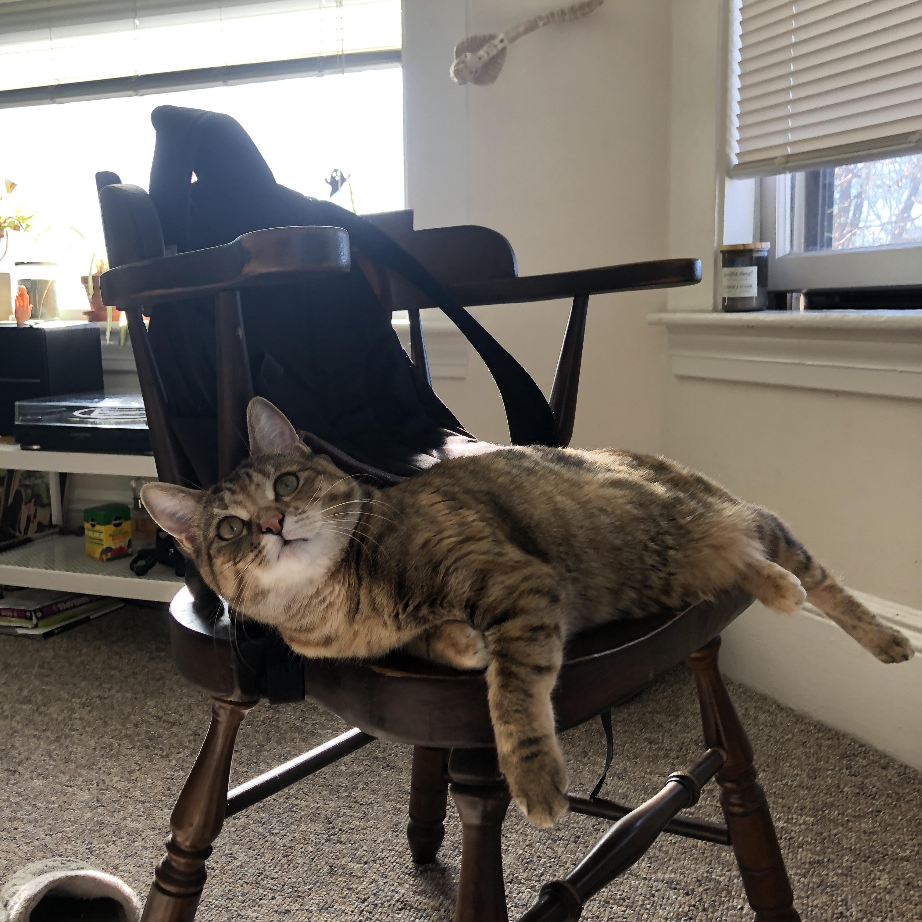 开云官方网站-“骑士精神”——车手不屈不挠的拼搏故事，骑士和车手