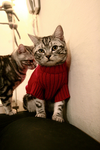 开云中国-【比赛聚焦】奥沙利文的奇技淫巧与防守策略完全解析，奥沙利文的防守水平怎么样