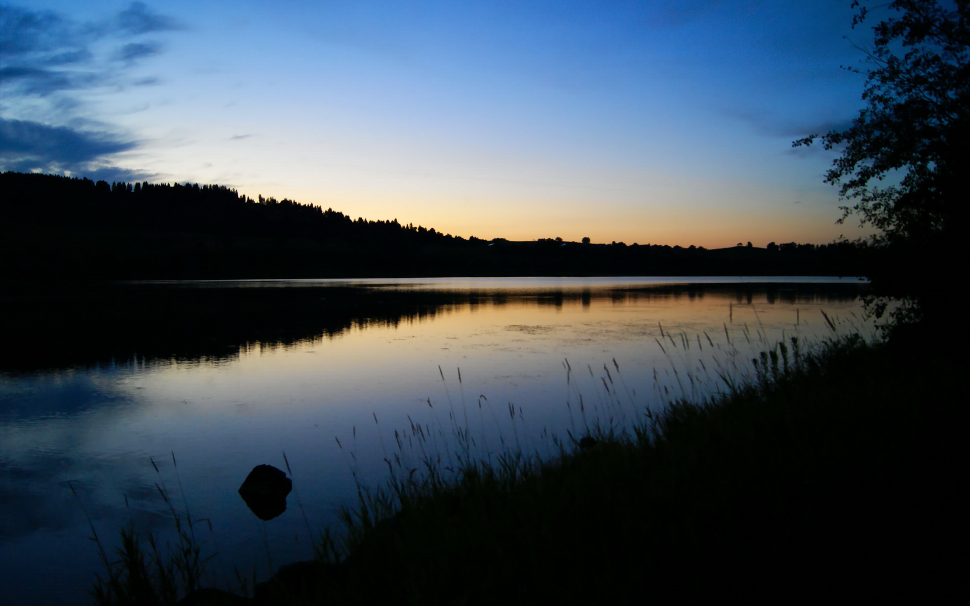 开云平台-伊朗队在巴黎奥运会比赛中多次通过快速反击得分，伊朗奥运会拿过金牌吗