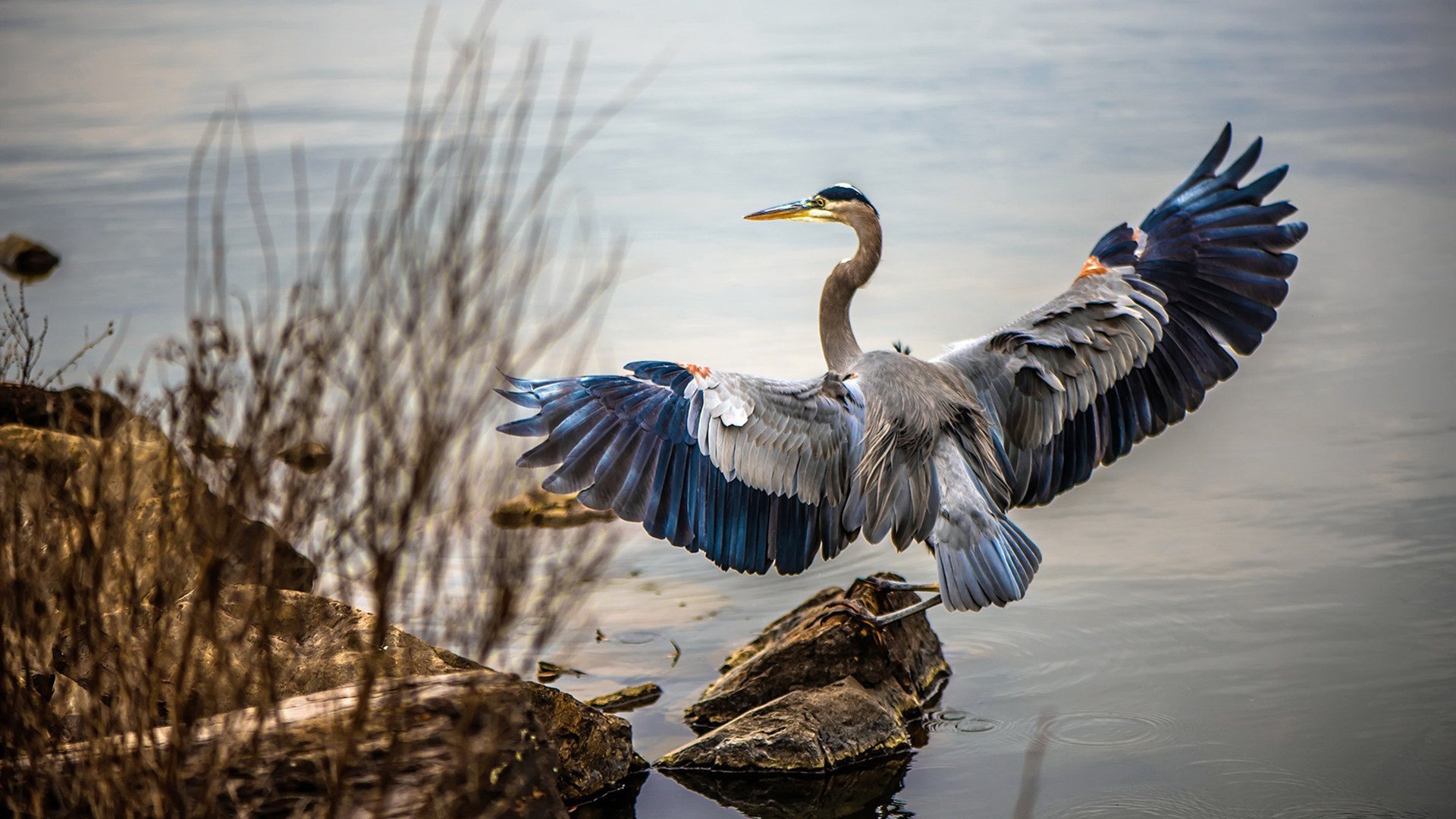 哈兰德梅开二度,继续领跑英超射手榜,英超最佳