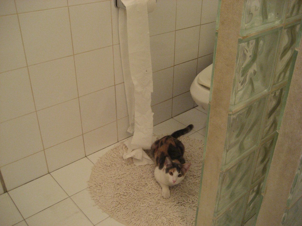 kaiyun官方入口登录-全球篮球传奇：巅峰对决不容错过，nba篮球大师巅峰对决