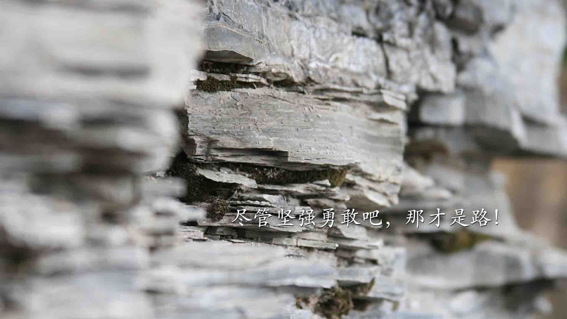 kaiyun体育app-球队战术大调整，令对手难以应对，篮球球队战术