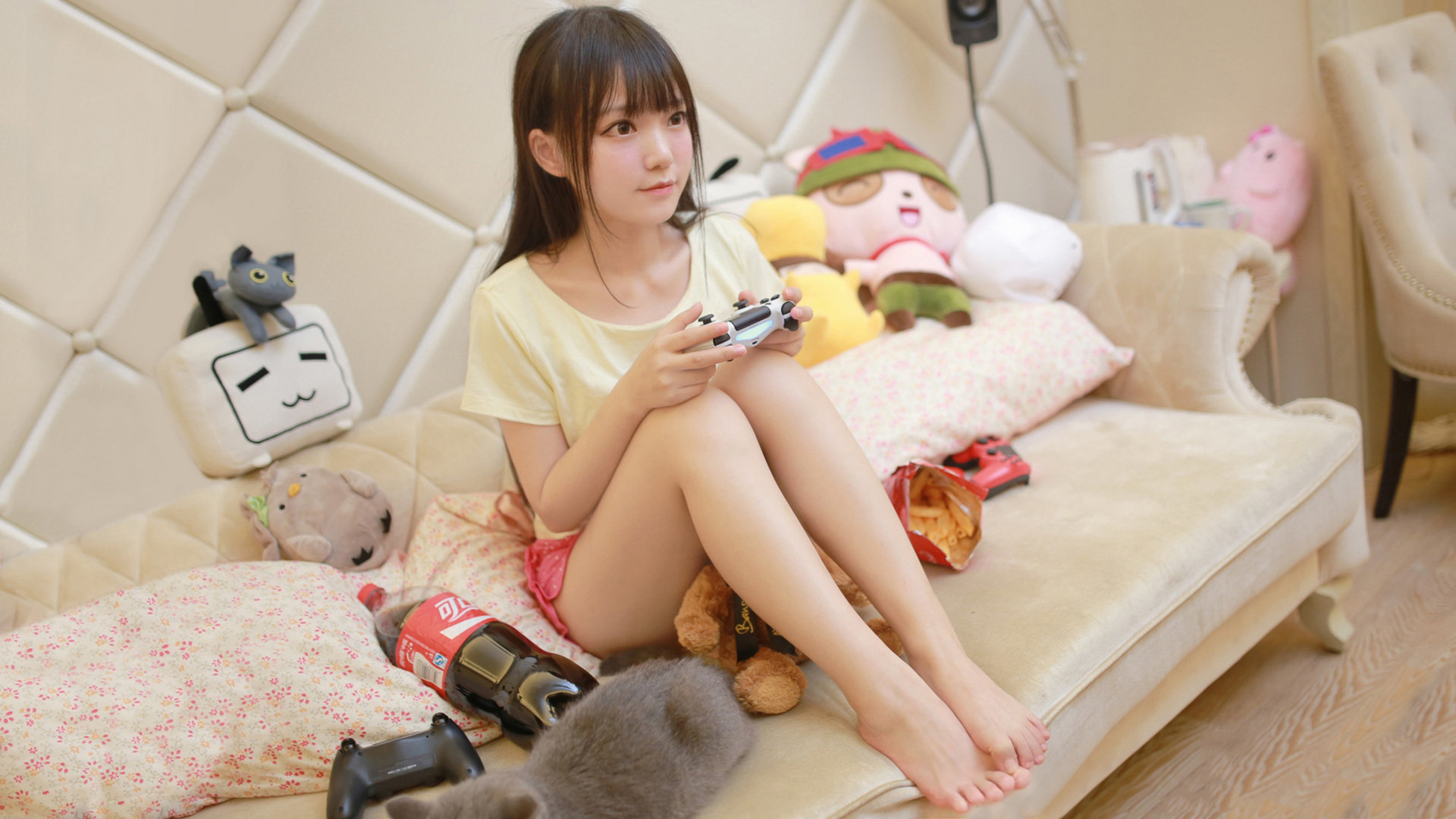 Kaiyun(中国)开云-缅因凯尔特人继续冲击冠军，凯缅因猫凯米尔色