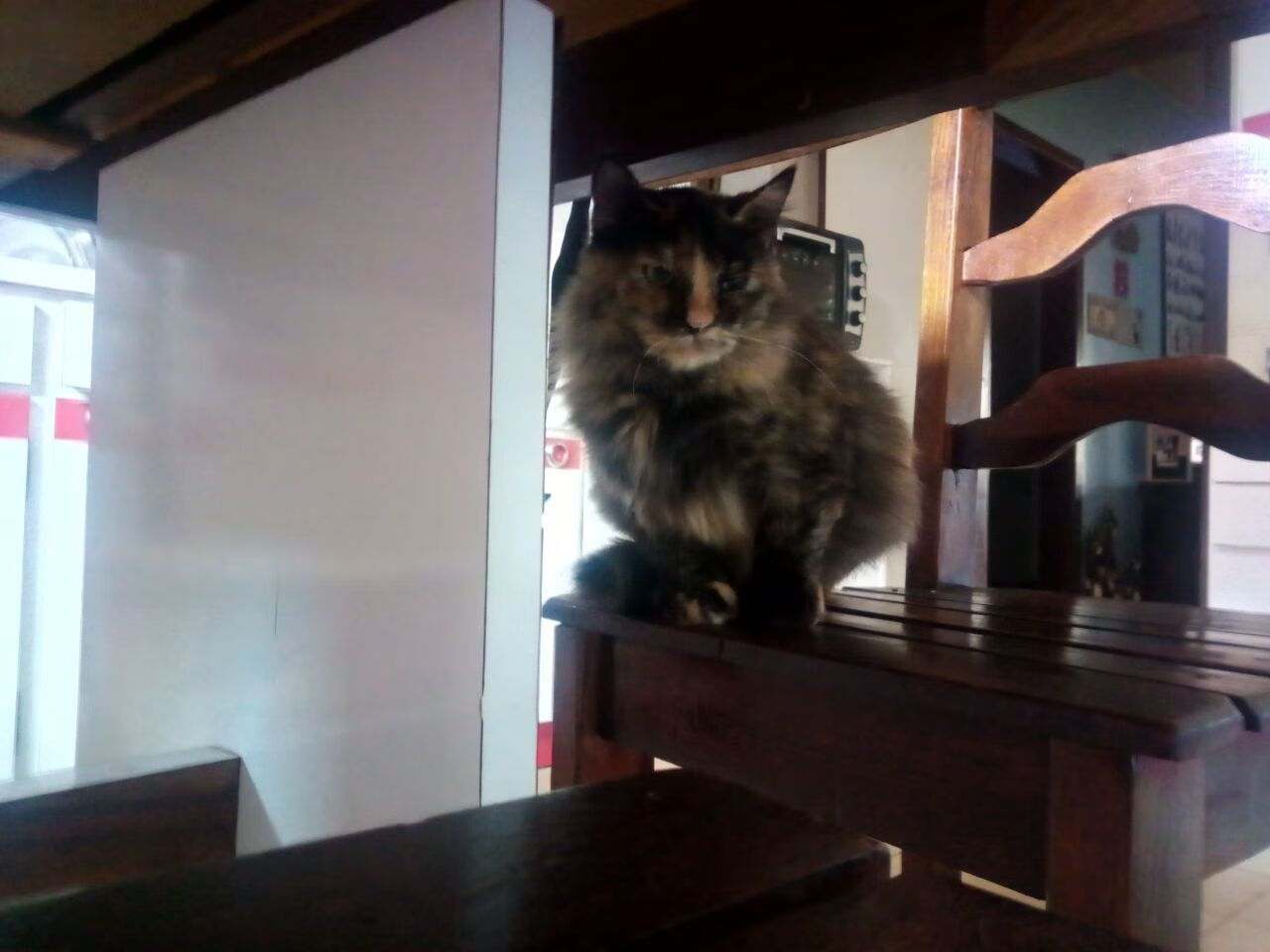 开云官方-赫罗纳是否可持续推进进攻流畅度，赫罗纳省