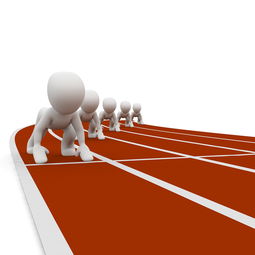 kaiyun.com-中小学体育教师职业成长路径研究，中小学体育教师现状