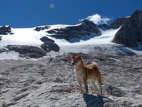 kaiyun-智能体测设备应用与数据互通方案，体测智能化