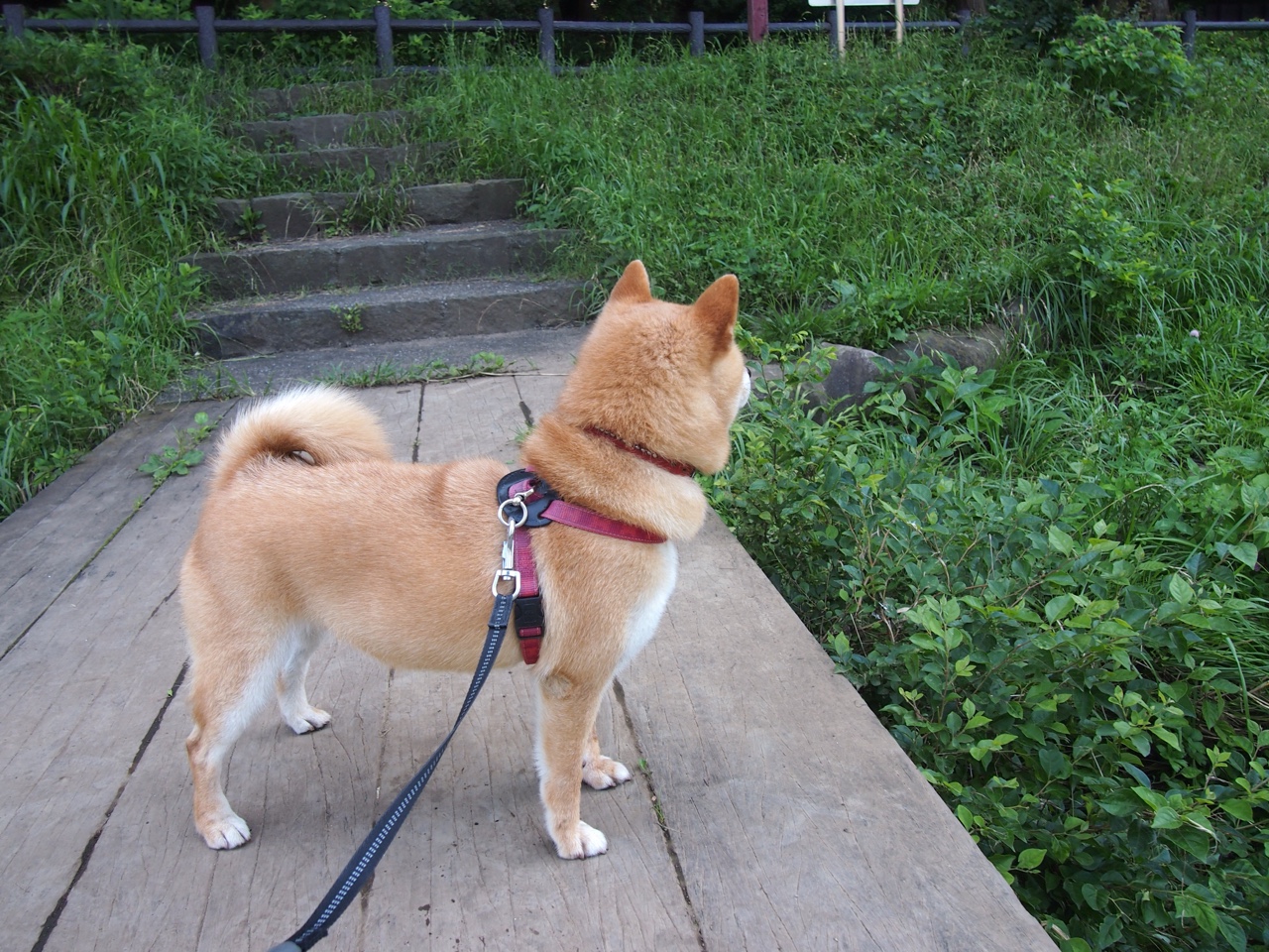 开云平台-新闻中心落实安全生产责任，落实安全责任保障安全生产稿件