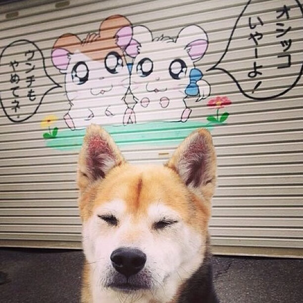 开云网页版-体育新闻中心主办数字体育时代内容伦理圆桌会，体育伦理学