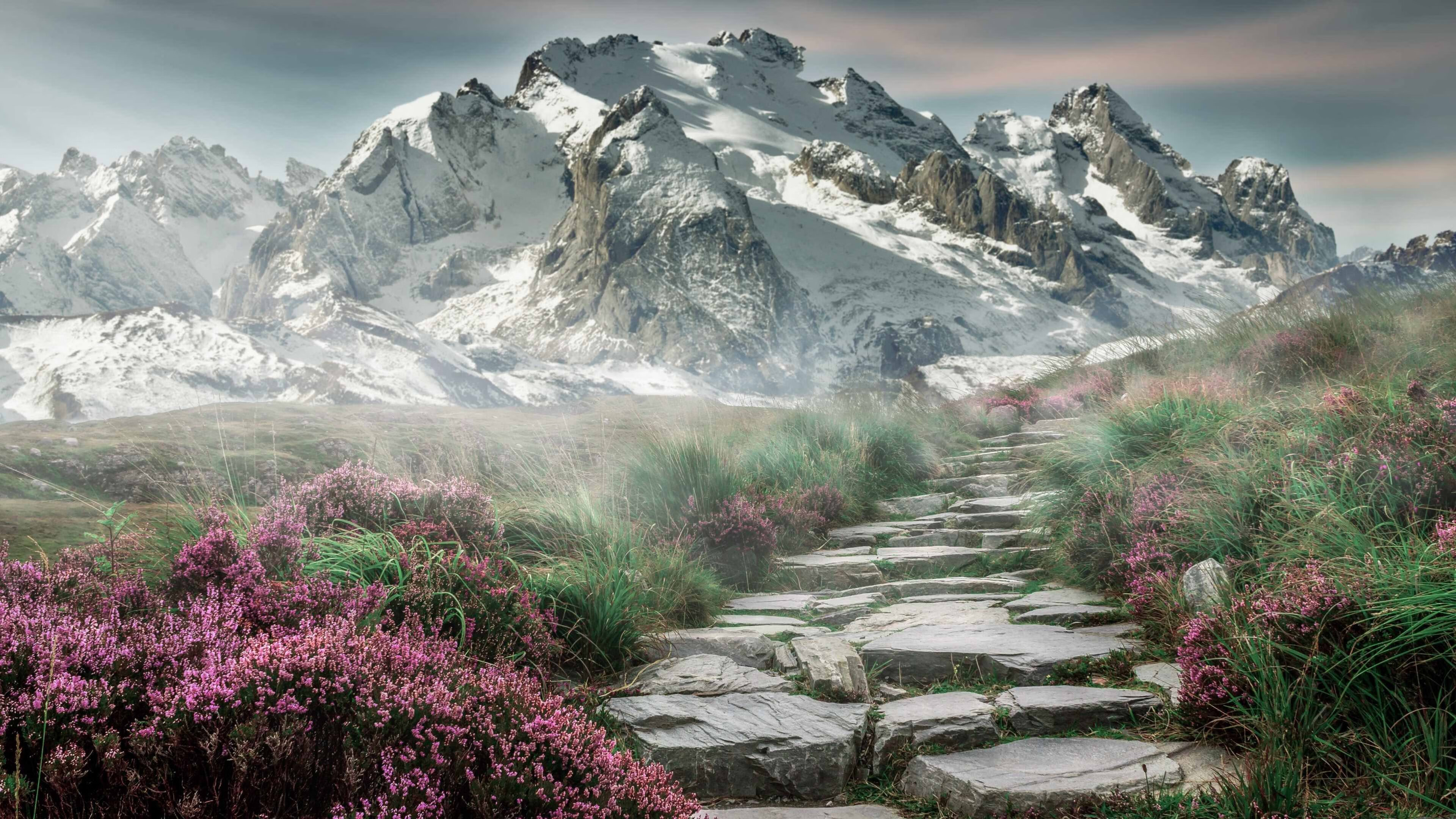 开云官方网页登录-中小学篮球教练加强教学能力培训推动专业化，篮球教师培训心得