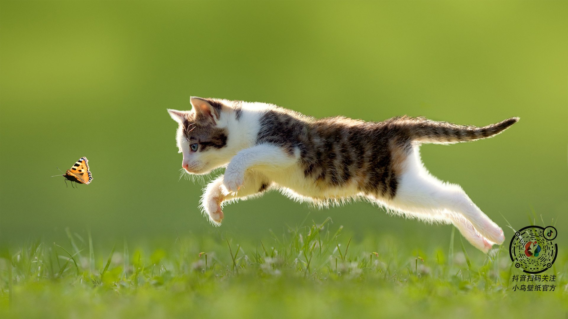 kaiyun体育综合-利物浦遭遇冷门欧洲超级杯，利物浦欧冠捧杯