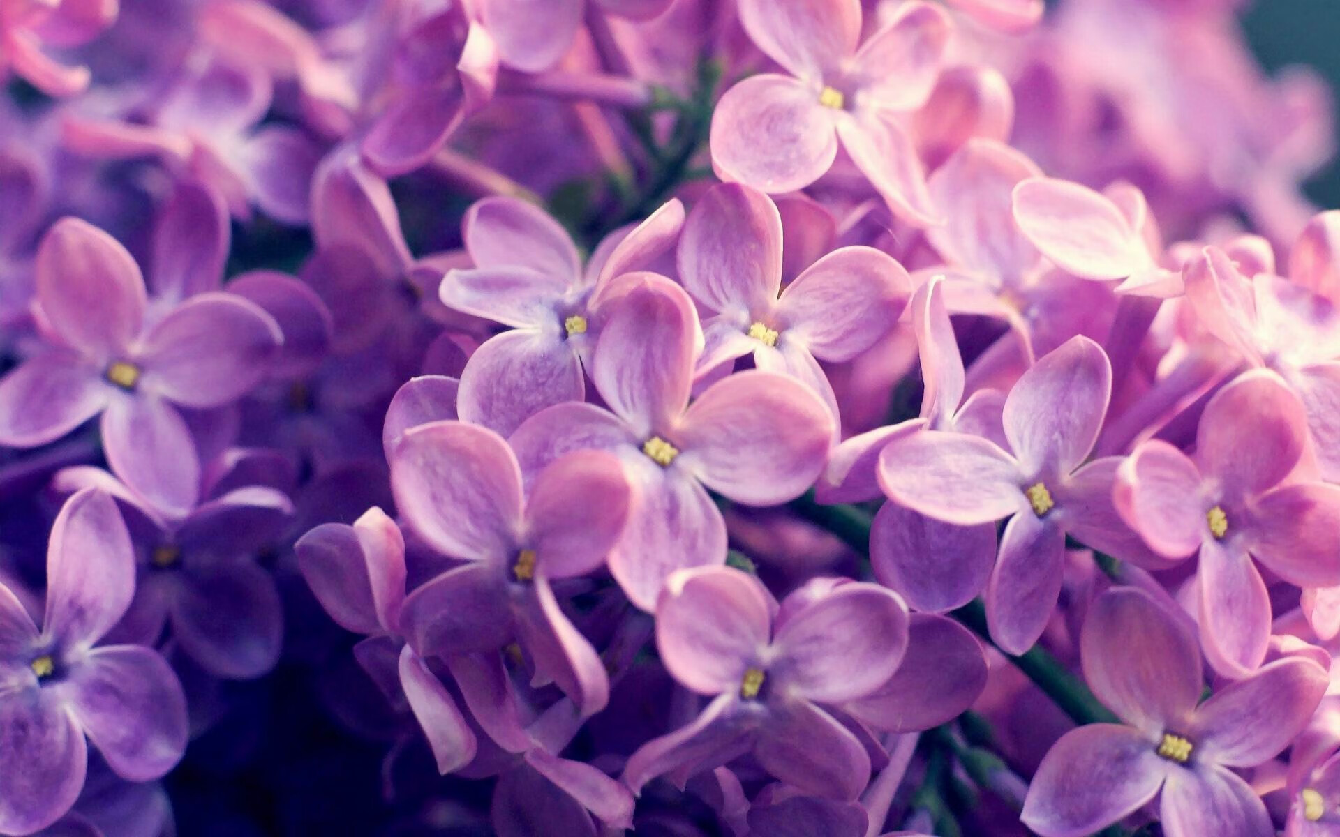 开云体育网站入口-西甲精彩突破：突破防线，精彩得分！，西甲精彩集锦