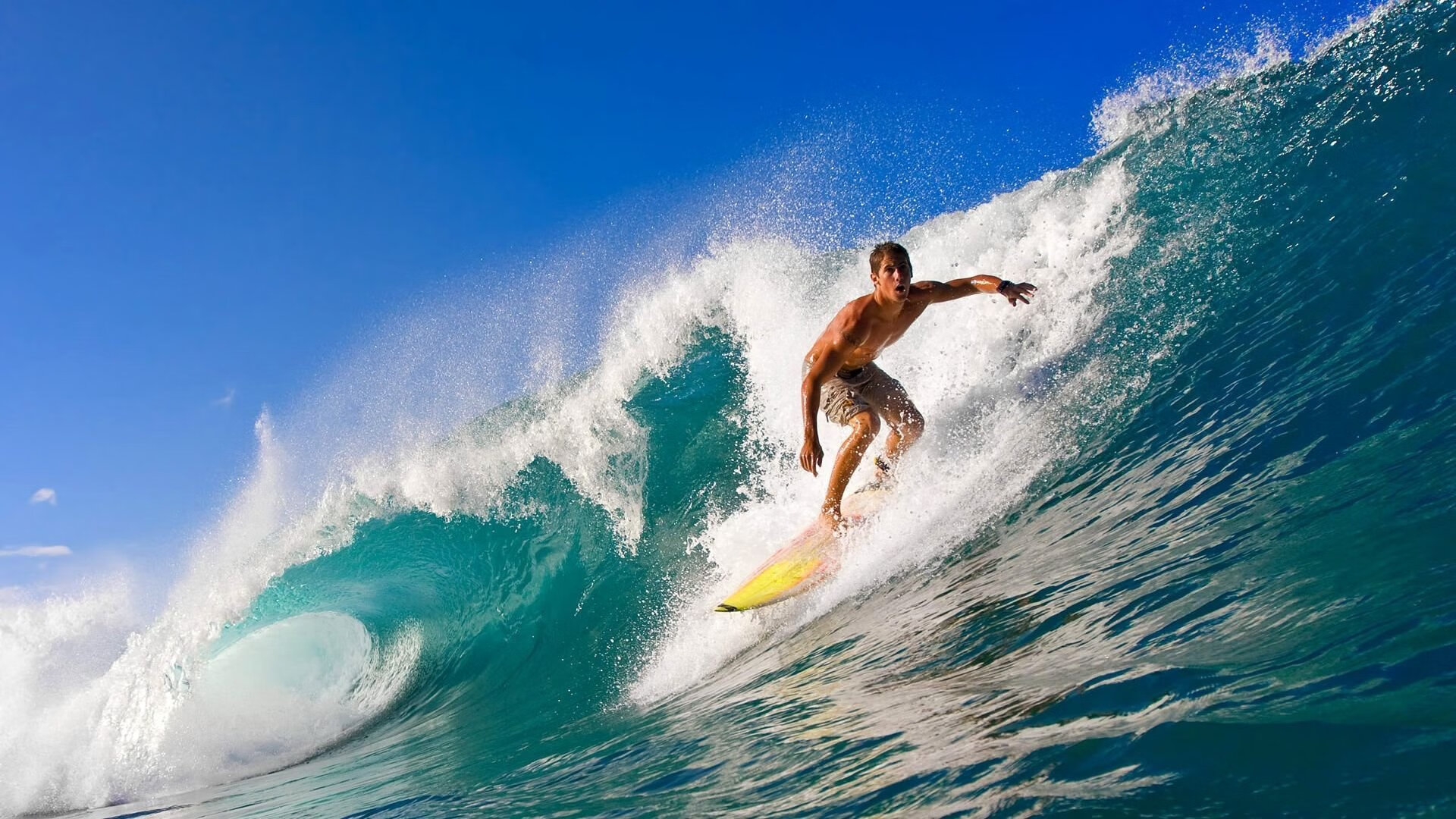 战队管理的奥秘：打造冠军文化的背后故事，战队管理员是什么